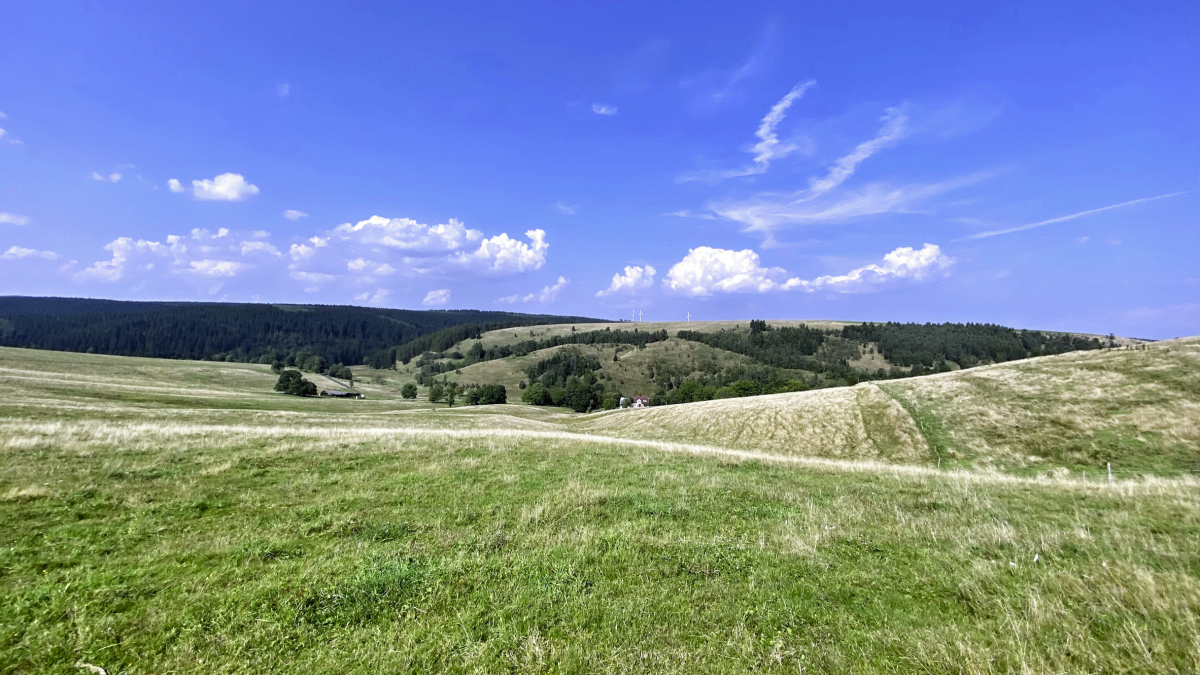 Moldavské louky a pastviny