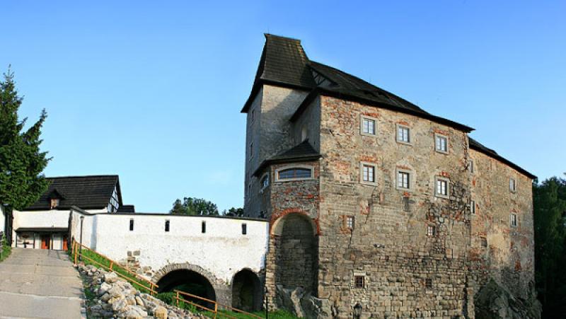 Die Burg Wildstein in Skalná