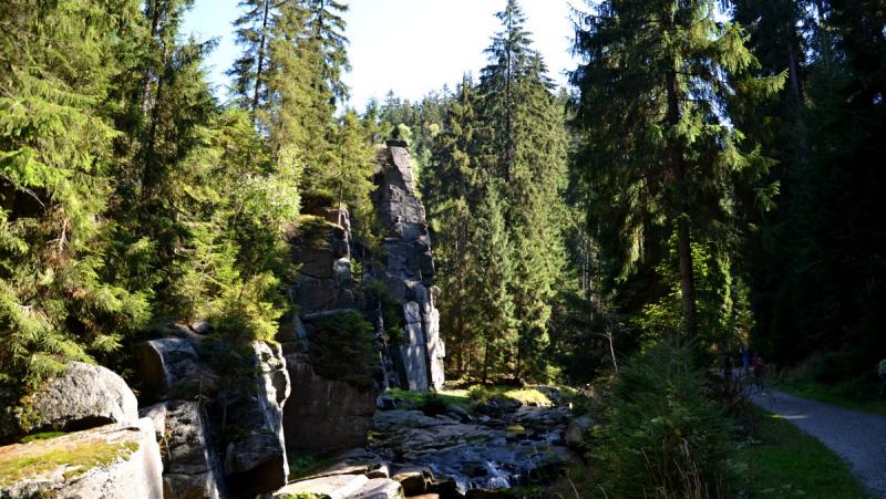 Spodní část údolí Schwarzwassertal | Krušnohorci