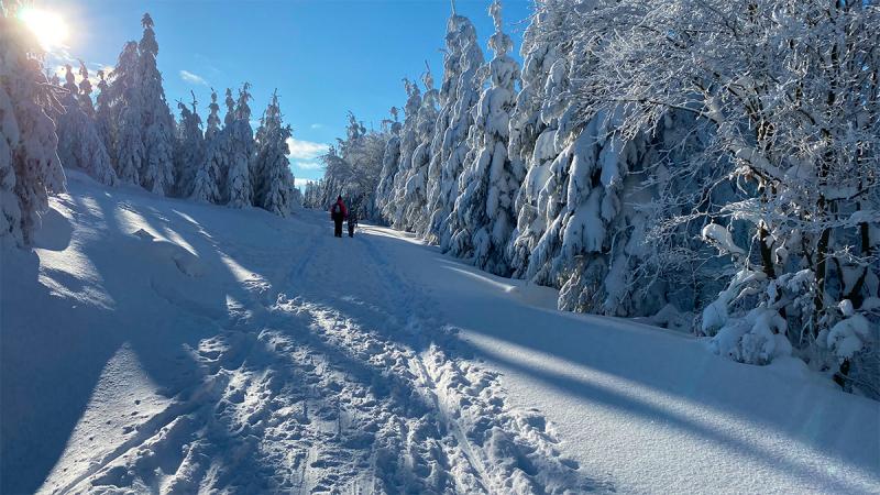 Winterwege für Fussgänger in der Umgebung von Pernink